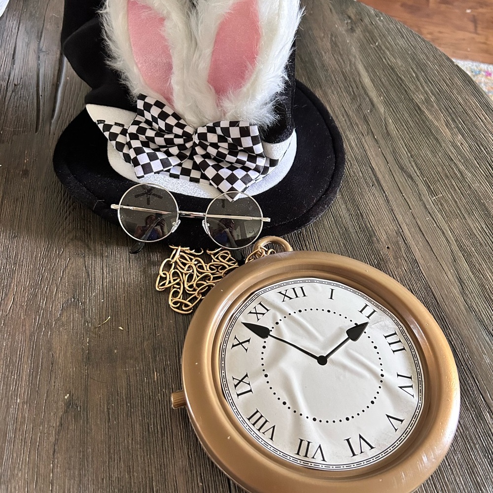 Rabbit from mad Hatter costume